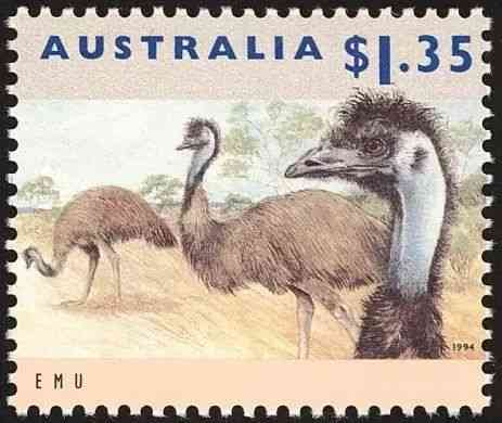 奔跑在澳洲大陆的鸟类-鸸鹋-插图27