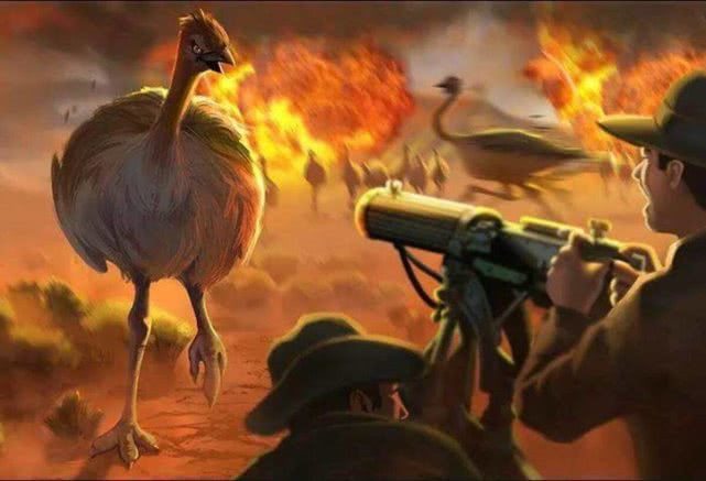 澳大利亚士兵曾经两次输给一种鸟，它就是鸸鹋-插图4