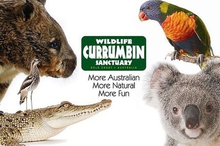 澳大利亚有哪些独有的动物？-插图102