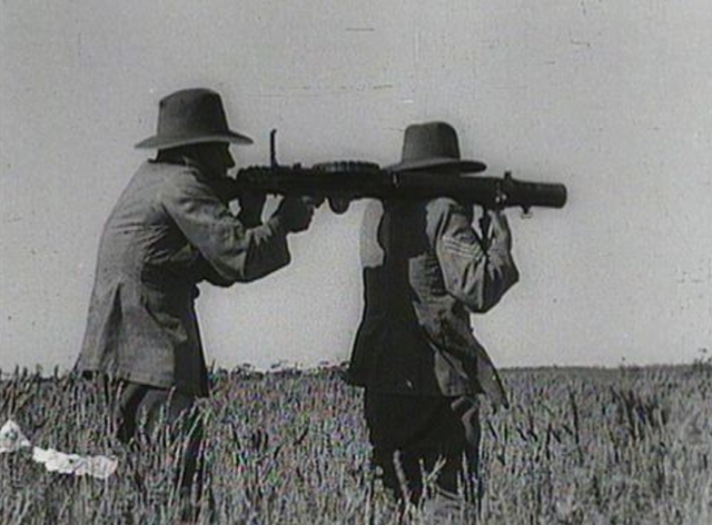 鸸鹋战争：1932年，带机枪的“澳大利亚皇家军团”，被一群鸟击败-插图15